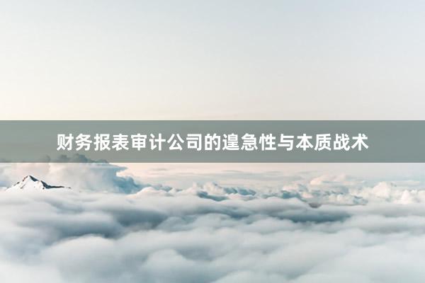 财务报表审计公司的遑急性与本质战术