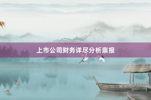 上市公司财务详尽分析禀报