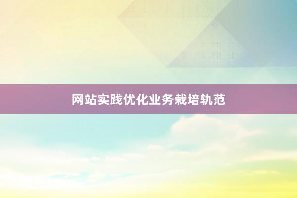 网站实践优化业务栽培轨范