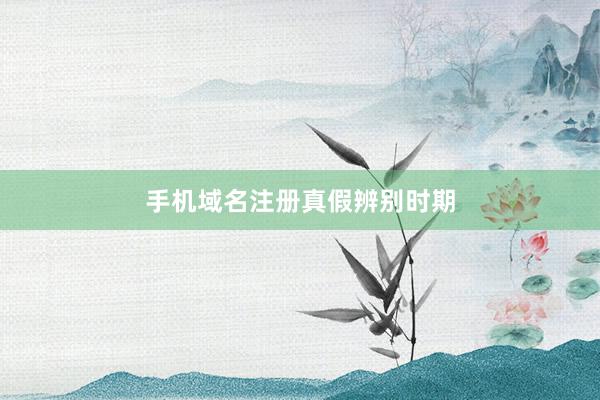 手机域名注册真假辨别时期